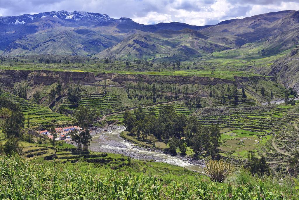 Aranwa Pueblito Encantado Del Colca Копораке Экстерьер фото